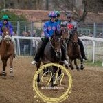 Corse a Monteroni d'Arbia: la fotogallery di Massimiliano Bruttini