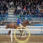 Corse a Monteroni d'Arbia: la fotogallery di Massimiliano Bruttini