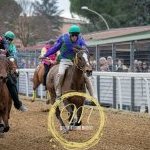 Corse a Monteroni d'Arbia: la fotogallery di Massimiliano Bruttini