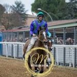 Corse a Monteroni d'Arbia: la fotogallery di Massimiliano Bruttini