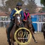 Corse a Monteroni d'Arbia: la fotogallery di Massimiliano Bruttini
