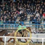 Corse a Monteroni d'Arbia: la fotogallery di Massimiliano Bruttini