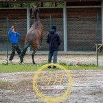 Palio: terminata la prima giornata di visite di ammissione