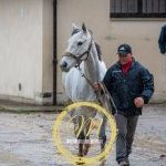 Palio: terminata la prima giornata di visite di ammissione