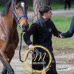 Palio, terminata la tre giorni di visite di ammissione