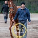 Palio, terminata la tre giorni di visite di ammissione