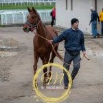 Palio, terminata la tre giorni di visite di ammissione