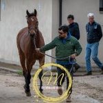 Palio, terminata la tre giorni di visite di ammissione