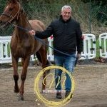 Palio, terminata la tre giorni di visite di ammissione