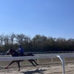 Corse a Legnano: in evidenza Francesco Caria 