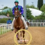 Monteroni d'Arbia 4 maggio 2025
