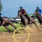 Monteroni d'Arbia 4 maggio 2025