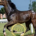 Monteroni d'Arbia 4 maggio 2025
