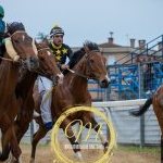 Monteroni d'Arbia 4 maggio 2025