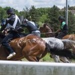 Monticiano 13 maggio 2025
