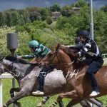 Monticiano 13 maggio 2025