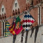 Palio: 2 luglio 2025: le foto dell'Estrazione delle Contrade