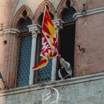 Palio: 2 luglio 2025: le foto dell'Estrazione delle Contrade