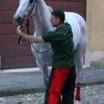 Ferrara: le foto delle prove di ieri