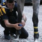 Ferrara: le foto delle prove di ieri