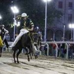 Ferrara. le foto delle prove di ieri di cavalli e asini
