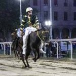 Ferrara. le foto delle prove di ieri di cavalli e asini