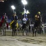 Ferrara. le foto delle prove di ieri di cavalli e asini