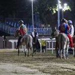 Ferrara. le foto delle prove di ieri di cavalli e asini