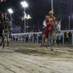 Ferrara. le foto delle prove di ieri di cavalli e asini