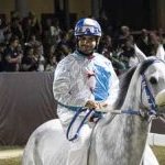 Ferrara. le foto delle prove di ieri di cavalli e asini