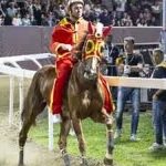 Ferrara. le foto delle prove di ieri di cavalli e asini