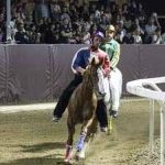 Ferrara. le foto delle prove di ieri di cavalli e asini