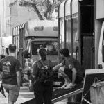 Ferrara. le foto delle prove di ieri di cavalli e asini