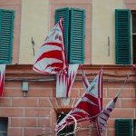 Giraffa: le foto dei battesimi 2025