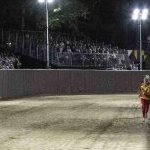 Le foto del Palio di Ferrara 2025