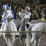 Le foto del Palio di Ferrara 2025