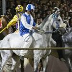 Le foto del Palio di Ferrara 2025