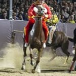 Le foto del Palio di Ferrara 2025