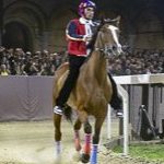 Le foto del Palio di Ferrara 2025