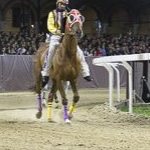 Le foto del Palio di Ferrara 2025