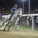 Le foto del Palio di Ferrara 2025