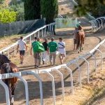 Casole d’Elsa: le foto della prova di ieri 