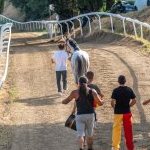 Casole d’Elsa: le foto della prova di ieri 