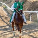 Casole d’Elsa: le foto della prova di ieri 