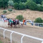 Casole d'Elsa: vince Pievalle, la fotogallery 