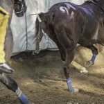 Asti: le foto del Palio 2026