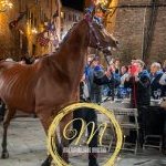 Nicchio: le foto della Cena della Vittoria 