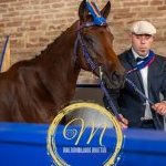Nicchio: le foto della Cena della Vittoria 