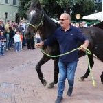 Domenica scorsa Berio è tornato nel Bruco