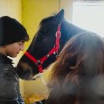 Zentile: ecco la fotogallery di Pietro Tonnicodi